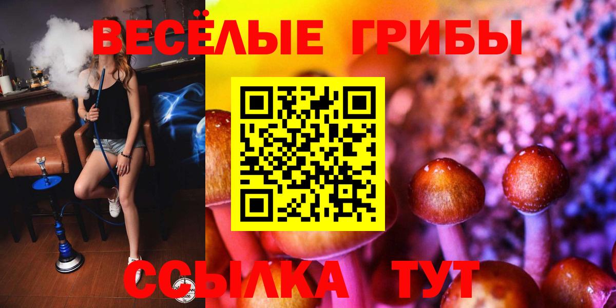 Галлюциногенные грибы MAGIC MUSHROOMS  Вход с VPN  Саров 